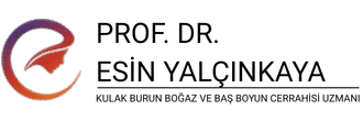 Prof. Dr. Esin Yalçınkaya